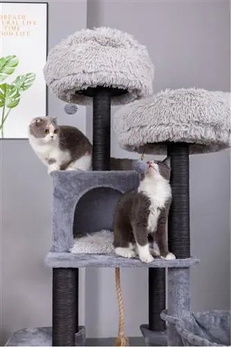 7 Leven Cat Tower