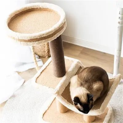Catry, Cradle- Beige Cat Tree Cradle Bed with Recycled Paper Scratching Posts and Teasing Rope - PremiumPetsPlus