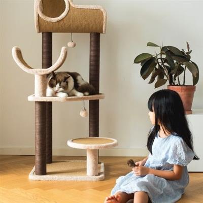 Catry, Large Cat Tower Full View