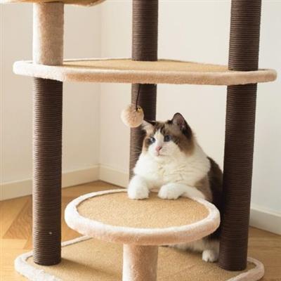 Catry, Large Cat Tower Rope Toy