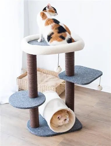 Catry, Lifted Multi-Activity Cat Tree with Tunnel - PremiumPetsPlus