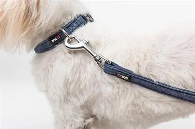 Dogline Denim Flat Collars - PremiumPetsPlus